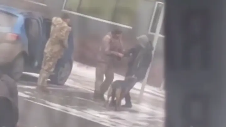 «Страна»: в Одессе собака спасла от мобилизации своего хозяина