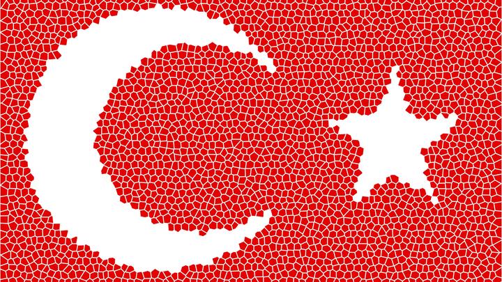 Турция не считает нужным исполнять антироссийские санкции