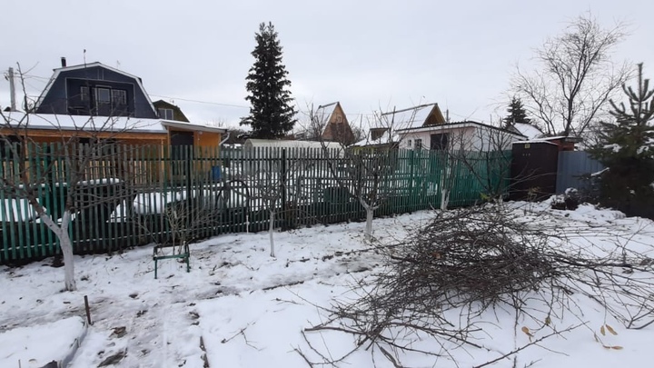 В Челябинске на садовом участке в апреле нужно сделать 7 обязательных дел