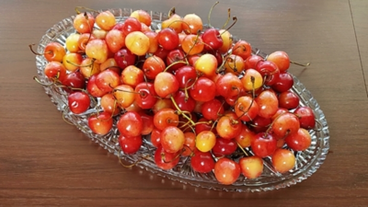 Смерть блогера-сыроеда: Эндокринолог указала на опасность веганского меню