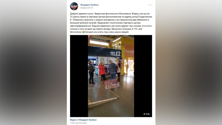 Кузбассовцы возмущены проведением звериных фотосессий в торговом центре