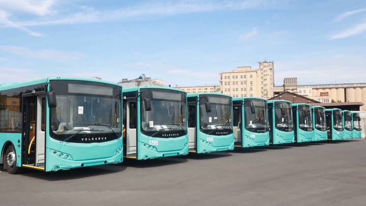 Добрались до Бастрыкина: петербуржцы превратили строительство автобусного кольца в уголовное дело