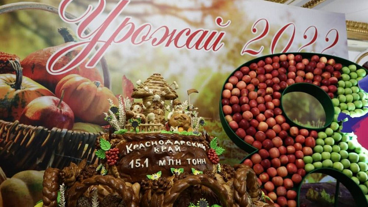 В Краснодарском крае аграрии собрали 15 млн тонн зерновых