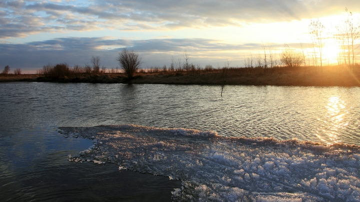 Коттеджный посёлок в Свердловской области затопило сточными водами