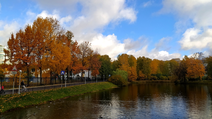 На Запорожье появился еще один Сад памяти