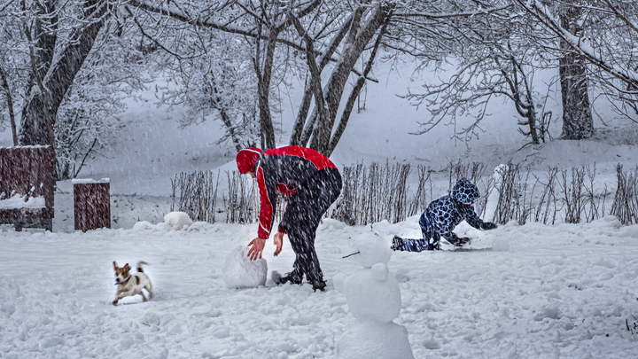 Морозы до минус 28 градусов: спасатели предупредили петербуржцев о возможности обморожений