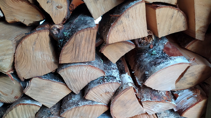 Дошло до веток: Эстонцы идут на крайности ради экономии на обогреве