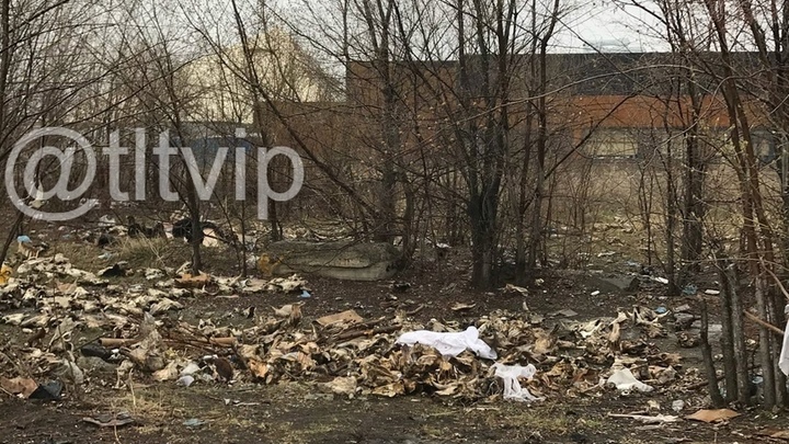 В Тольятти разбросали головы и кости коров