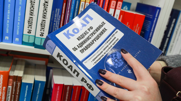 В Татарстане доработают проект закона о наказании граждан за границей