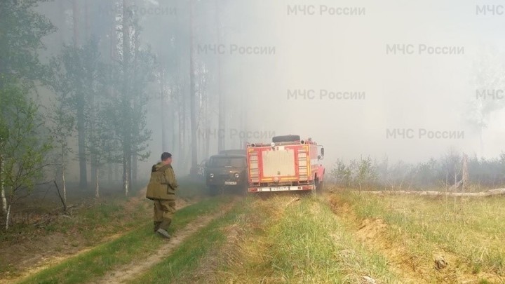 В Ивановской области ликвидировали лесной пожар возле села Демидово