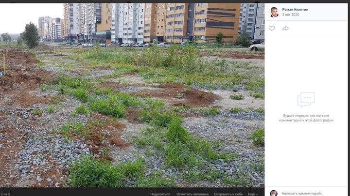 В новом сквере в Челябинске засохли деревья за 42 млн рублей