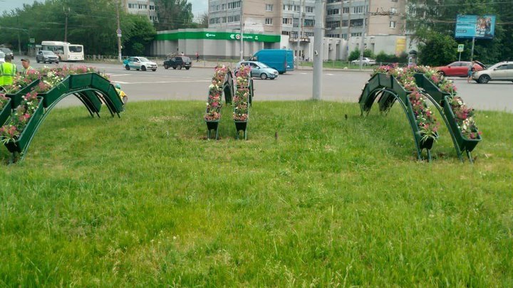 Проект озеленения Владимира провалился