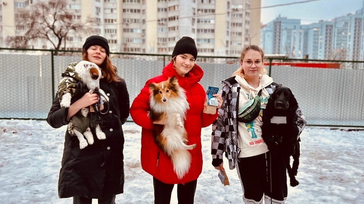В Самаре открылась площадка для выгула собак