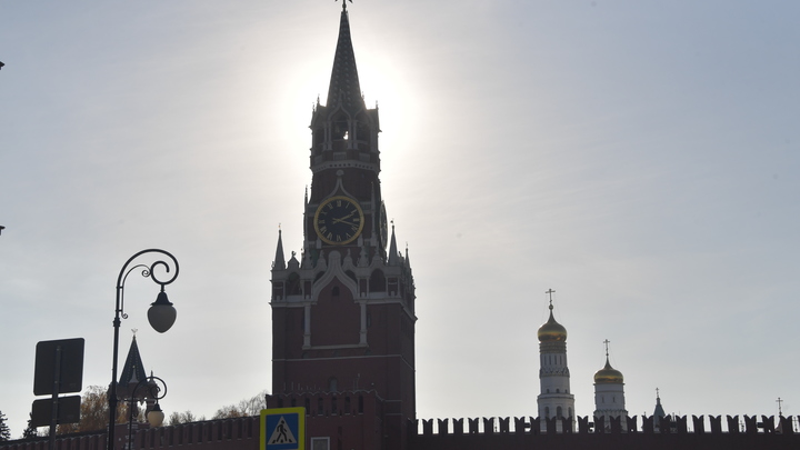 Хочет стать звездой: Политолог Марков объяснил слова Платошкина о досрочных выборах