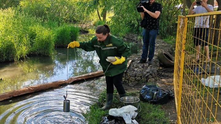 Экоактивисты спасают застрявших в реке Лобня птиц после слива в неё клеящего вещества