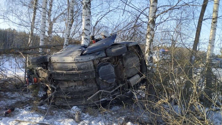 Под Меленками спасатели вытащили пострадавшего из намотавшейся на берёзу иномарки