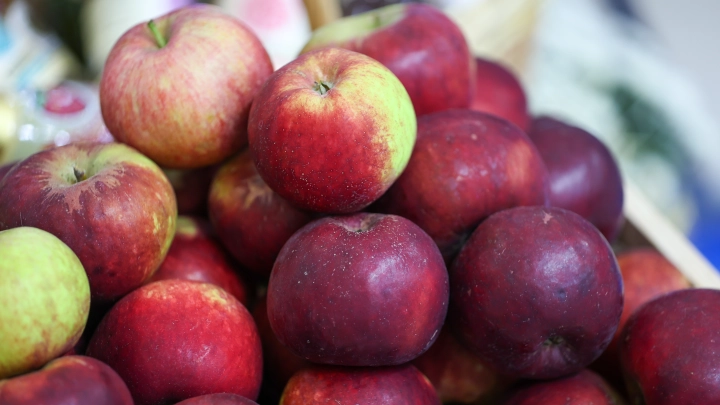 Alemarah: Афганистан отправил в Россию 50 тонн яблок из Кандагара