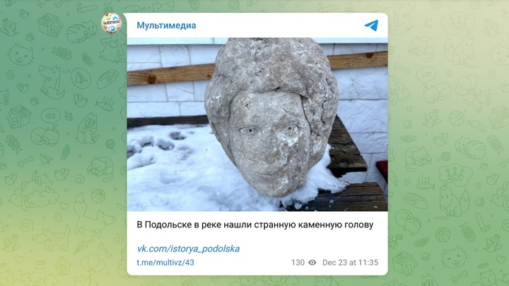Странную голову выловили в реке под Подольском