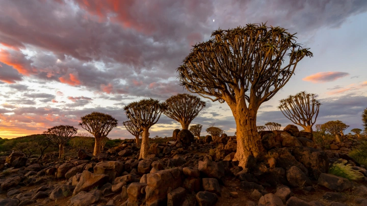 Около 50 человек погибли и четверых разыскивают после снегопада в Южной Африке
