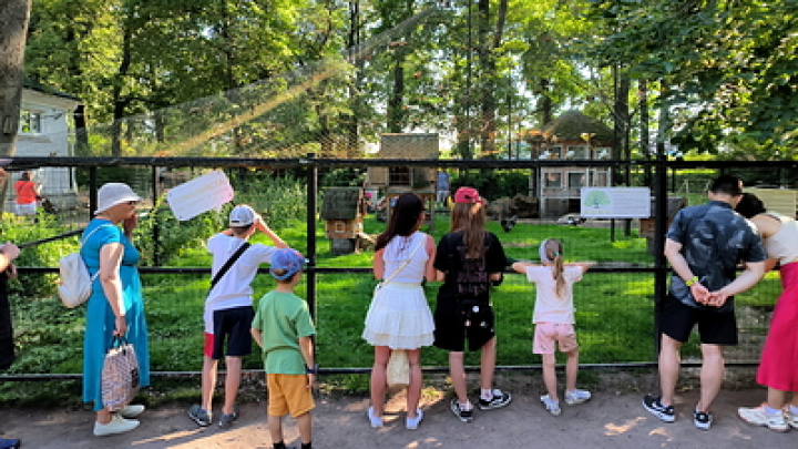 Раскрыта главная причина, влияющая на пол ребенка