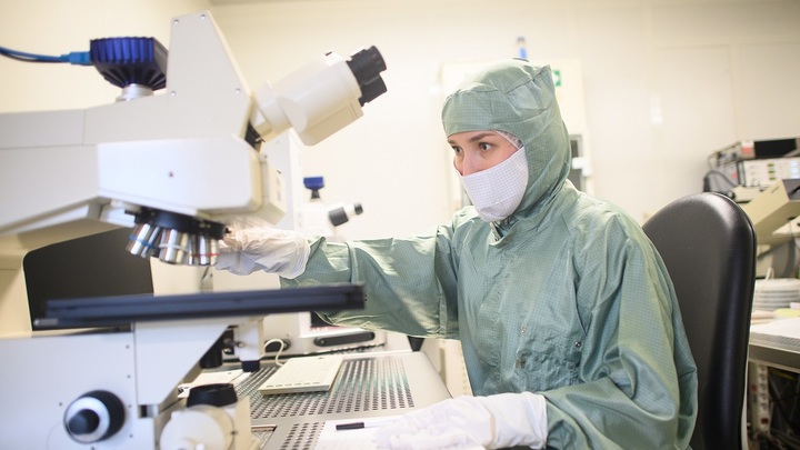 До России добрался новый вирус: Его передают клещи - иммунолог Болибок