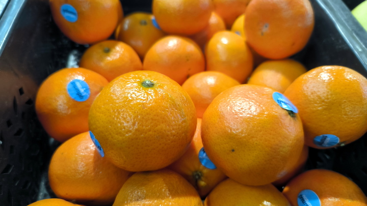 Жителей России может ждать дефицит марокканских мандаринов в Новый год