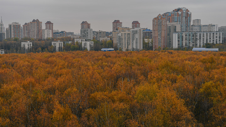 Избежать локдауна одним кликом: Москвичам дали подсказку бизнесмены