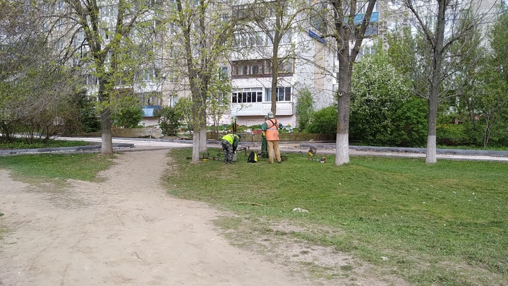 В Подмосковье заасфальтируют 1000 народных троп