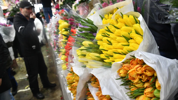 На Украине забыли отменить 8 Марта: поисковики завалены запросами о поздравлениях. Причём тут USAID