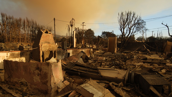 На третий день начали собираться: Живущая в США сибирячка рассказала о пожарах в Лос-Анджелесе