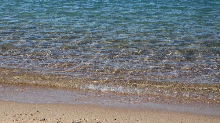 Власти Сочи расторгнут договор с арендатором пляжа, где избили туриста из Минска