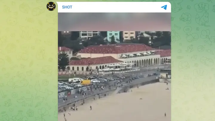 Туристы из Сочи ушли с пляжа в Сиднее за 15 минут до бойни