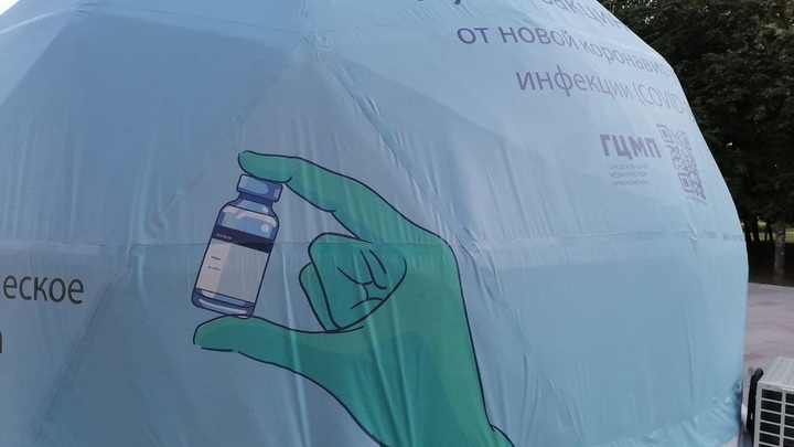 Петербуржцы сдали более 29 тысяч тестов на коронавирус за минувшие сутки