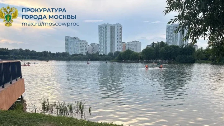 «Зацепился за корягу»: в Южном Бутове в пруду на глазах у матери погиб школьник