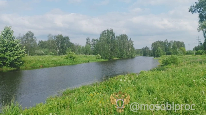 Тело утонувшего мальчика нашли в Подмосковье спустя два дня