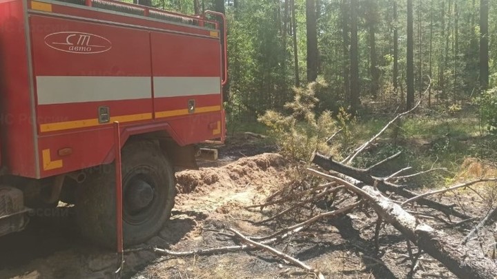 На границе Ивановской и Нижегородской областей произошел лесной пожар