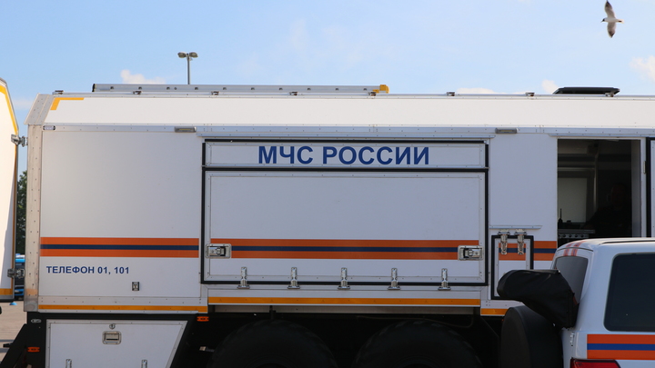 Соседи бросились на помощь, но: В Иркутской области в огне погибли двое малышей