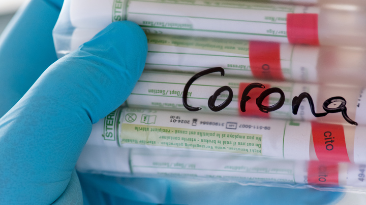 Учёные назвали эффективных домашних убийц коронавируса