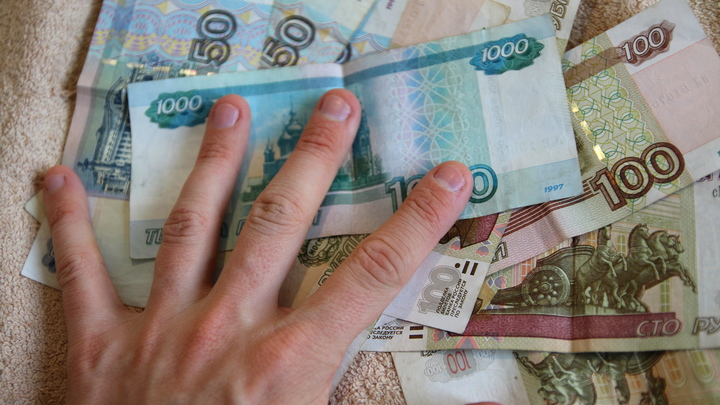 Число поддельных банкнот номиналом 1000 рублей выросло в Новосибирской области