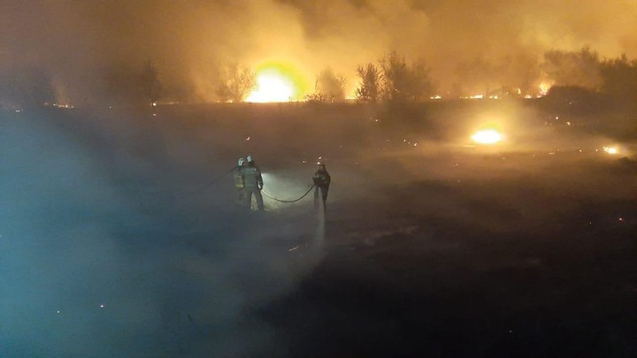 Угонщик, из-за которого в Ростовской области сгорели 400 га леса, уедет в колонию строгого режима
