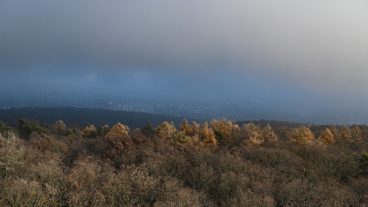 Психическое заболевание или осенняя хандра: Психолог объяснил, как распознать депрессию