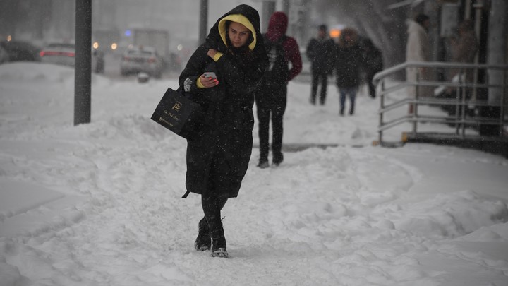 На мошенников нашли управу: Русским подсказали простой способ профилактики