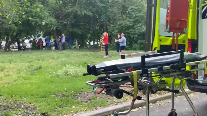 Реанимация увезла со школьного двора в Челябинске третьеклассницу, упавшую с дерева