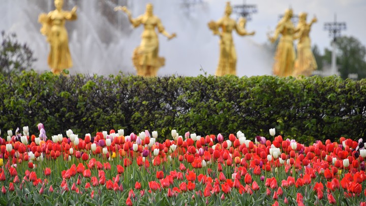 Фестиваль неолимпийских видов спорта на ВДНХ перенесли на 6 августа