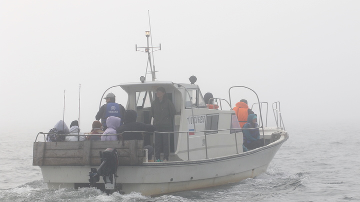 В ФСБ России нашли еще одно иностранное судно,  перевозившее взрывчатку - свежие детали