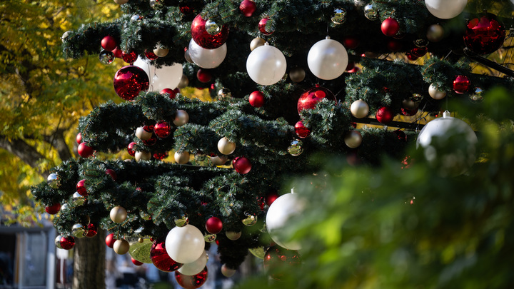 Балицкий заявил о начале новогодней акции Елка желаний на Запорожье