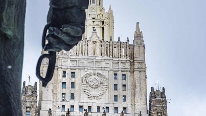 Симметричный ответ России заставил австрийский МИД сожалеть