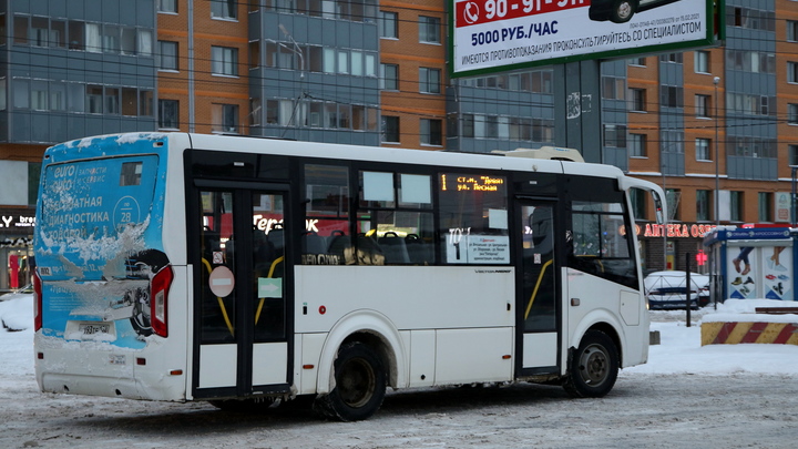 В Самаре водитель маршрутки за непристойное поведение лишился работы и попал под арест