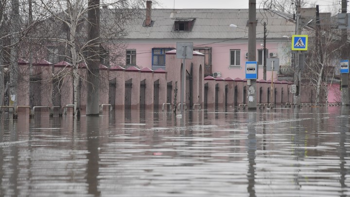 В прорыве речной дамбы в Орске обвинили грызунов