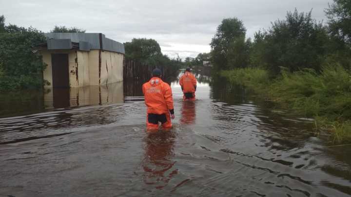 Половодье в Брянске 29 апреля 2022: сколько домов уже затопило